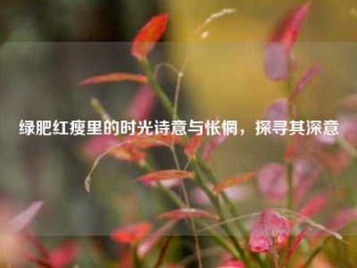 绿肥红瘦里的时光诗意与怅惘，探寻其深意