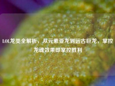 LOL龙类全解析，从元素亚龙到远古巨龙，掌控龙魂效果即掌控胜利