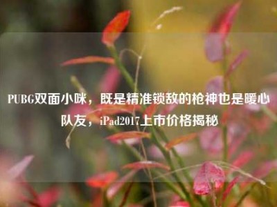 PUBG双面小咪，既是精准锁敌的枪神也是暖心队友，iPad2017上市价格揭秘