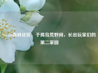Steam森林社区，于孤岛荒野间，长出玩家们的第二家园