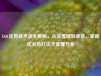 LOL优势局术语全解析，从滚雪球到虐泉，掌握优劣势打法才算懂节奏