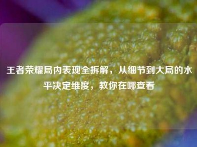 王者荣耀局内表现全拆解，从细节到大局的水平决定维度，教你在哪查看