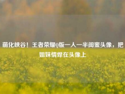 萌化峡谷！王者荣耀Q版一人一半闺蜜头像，把姐妹情焊在头像上