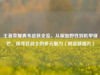 王者荣耀典韦皮肤全览，从原始野性到机甲锋芒，探寻狂战士的多元魅力（附皮肤图片）