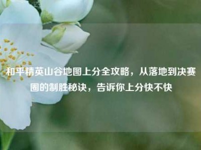 和平精英山谷地图上分全攻略，从落地到决赛圈的制胜秘诀，告诉你上分快不快
