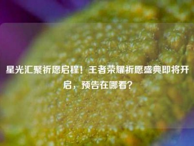 星光汇聚祈愿启程！王者荣耀祈愿盛典即将开启，预告在哪看？
