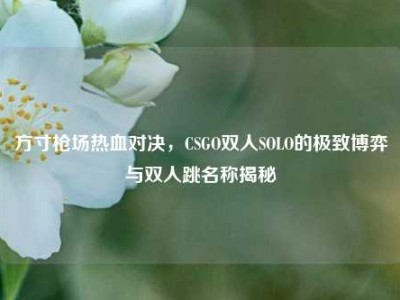 方寸枪场热血对决，CSGO双人SOLO的极致博弈与双人跳名称揭秘