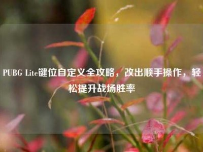 PUBG Lite键位自定义全攻略，改出顺手操作，轻松提升战场胜率