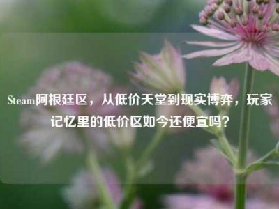 Steam阿根廷区，从低价天堂到现实博弈，玩家记忆里的低价区如今还便宜吗？