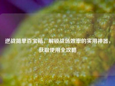 逆战简单百宝箱，解锁战场效率的实用神器，获取使用全攻略