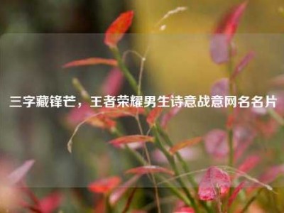 三字藏锋芒，王者荣耀男生诗意战意网名名片