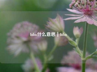 lolm什么意思｜lolm