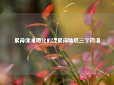 累得像滩晒化的泥累得啥填三字词语