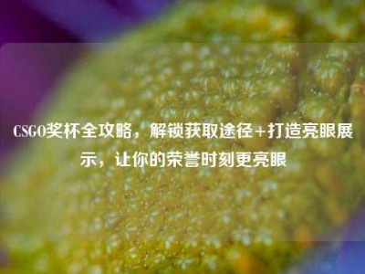 CSGO奖杯全攻略，解锁获取途径+打造亮眼展示，让你的荣誉时刻更亮眼