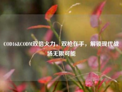 COD16&CODM双倍火力，双枪在手，解锁现代战场无限可能
