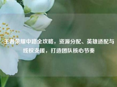 王者荣耀中路全攻略，资源分配、英雄适配与线权支援，打造团队核心节奏