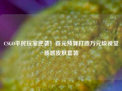 CSGO平民玩家逆袭！百元预算打造万元级视觉质感皮肤套装