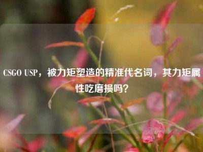 CSGO USP，被力矩塑造的精准代名词，其力矩属性吃磨损吗？