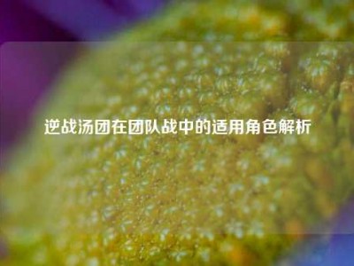 逆战汤团在团队战中的适用角色解析