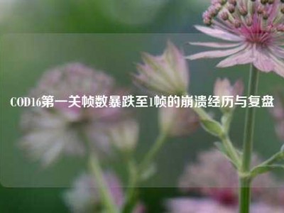 COD16第一关帧数暴跌至1帧的崩溃经历与复盘