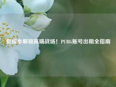 低成本解锁高端战场！PUBG账号出租全指南