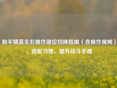 和平精英左右操作键位切换指南（含操作视频），适配习惯，提升战斗手感