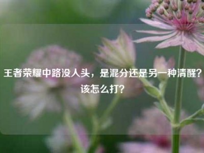 王者荣耀中路没人头，是混分还是另一种清醒？该怎么打？