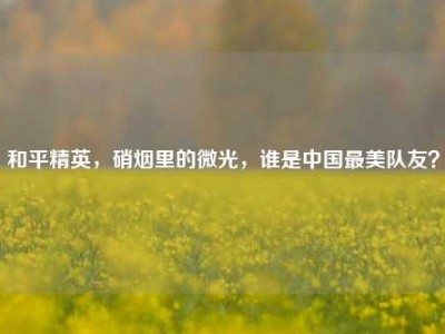 和平精英，硝烟里的微光，谁是中国最美队友？