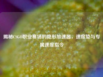 揭秘CSGO职业赛场的隐形加速器，速度垫与专属速度指令