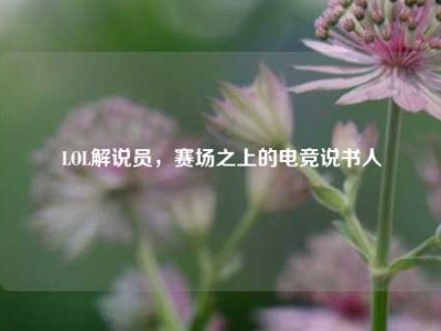 LOL解说员，赛场之上的电竞说书人