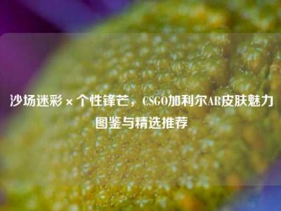 沙场迷彩×个性锋芒，CSGO加利尔AR皮肤魅力图鉴与精选推荐