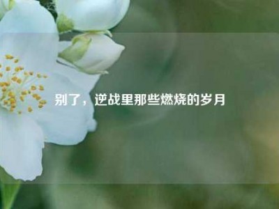 别了，逆战里那些燃烧的岁月