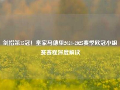 剑指第15冠！皇家马德里2024-2025赛季欧冠小组赛赛程深度解读