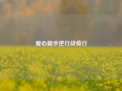 爱心脚步逆行战疫行