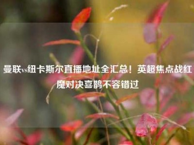 曼联vs纽卡斯尔直播地址全汇总！英超焦点战红魔对决喜鹊不容错过