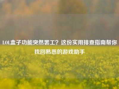 LOL盒子功能突然罢工？这份实用排查指南帮你找回熟悉的游戏助手