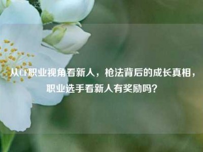 从CF职业视角看新人，枪法背后的成长真相，职业选手看新人有奖励吗？