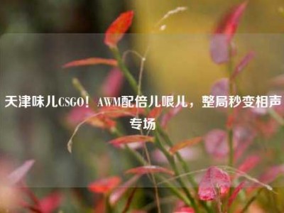 天津味儿CSGO！AWM配倍儿哏儿，整局秒变相声专场