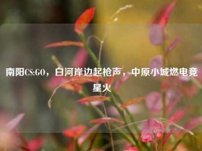 南阳CS:GO，白河岸边起枪声，中原小城燃电竞星火
