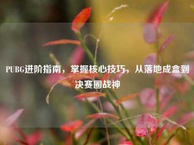 PUBG进阶指南，掌握核心技巧，从落地成盒到决赛圈战神