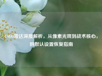 CSGO雷达深度解析，从像素光斑到战术核心，附默认设置恢复指南