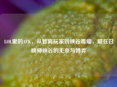 LOL里的AFK，从暂离玩家到峡谷毒瘤，藏在召唤师峡谷的无奈与博弈