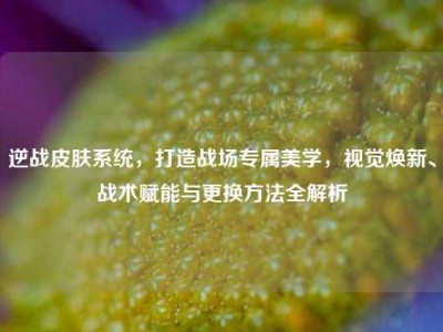逆战皮肤系统，打造战场专属美学，视觉焕新、战术赋能与更换方法全解析