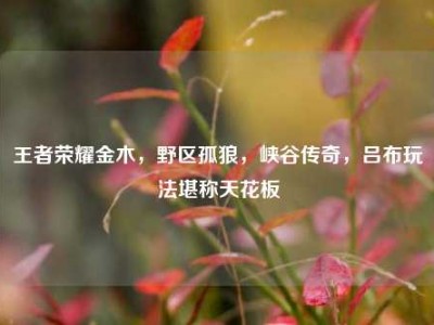 王者荣耀金木，野区孤狼，峡谷传奇，吕布玩法堪称天花板