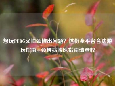 想玩PUBG又怕颈椎出问题？这份全平台合法游玩指南+颈椎病就医指南请查收