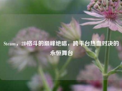 Steam，2D格斗的巅峰绝唱，跨平台热血对决的永恒舞台