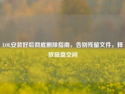 LOL安装好后彻底删除指南，告别残留文件，释放磁盘空间