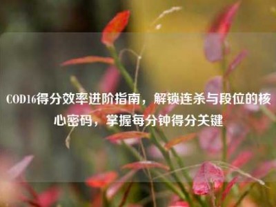COD16得分效率进阶指南，解锁连杀与段位的核心密码，掌握每分钟得分关键