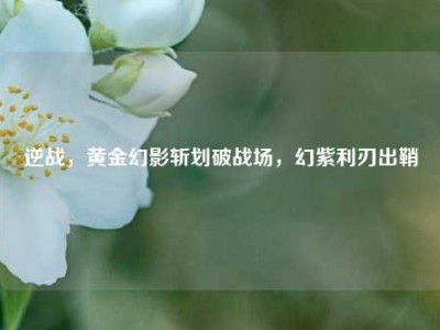 逆战，黄金幻影斩划破战场，幻紫利刃出鞘