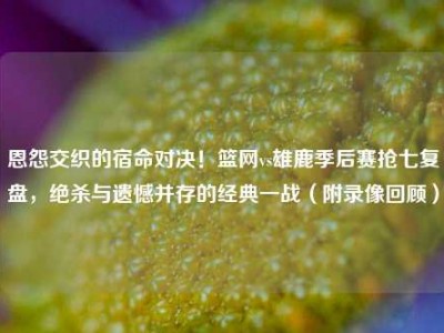 恩怨交织的宿命对决！篮网vs雄鹿季后赛抢七复盘，绝杀与遗憾并存的经典一战（附录像回顾）